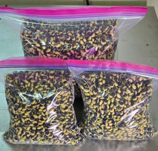 선비 농군님의 자유주제 · 자유게시판 작성글 사진