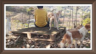 알 수 없음님의 자유주제 · 자유게시판 작성글 사진