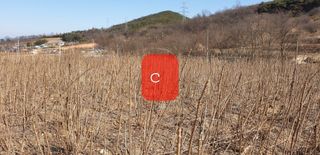 알 수 없음님의 자유주제 · 자유게시판 작성글 사진