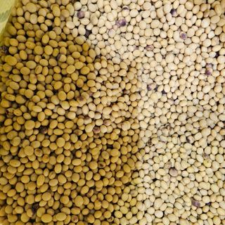 백용기님의 자유주제 · 자유게시판 작성글 사진