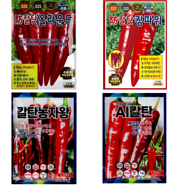 대산농사대장님의 장터 판매 상품 [빅세일  25년  슈퍼슐탄 복합내병계 1200립  한농씨앗] 첨부 사진