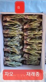 팜모닝 자유주제·자유게시판 게시글 이미지