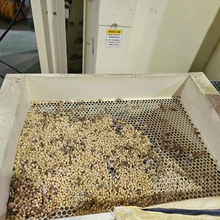 백용기님의 자유주제 · 자유게시판 작성글 사진