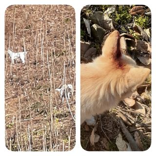 알 수 없음님의 자유주제 · 자유게시판 작성글 사진