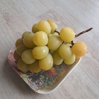 이용백님의 자유주제 · 자유게시판 작성글 사진