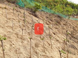 알 수 없음님의 자유주제 · 자유게시판 작성글 사진