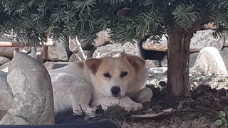 알 수 없음님의 자유주제 · 자유게시판 작성글 사진