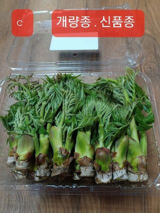 알 수 없음님의 자유주제 · 자유게시판 작성글 사진