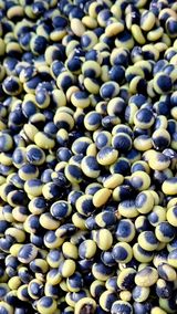 팜모닝 자유주제·자유게시판 게시글 이미지