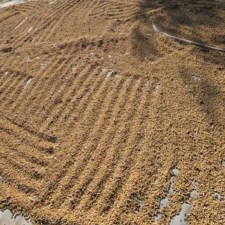 백용기님의 자유주제 · 자유게시판 작성글 사진