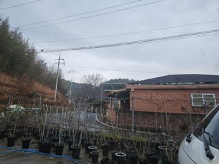 정광일님의 자유주제 · 자유게시판 작성글 사진