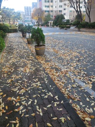 복주농장님의 자유주제 · 자유게시판 작성글 사진