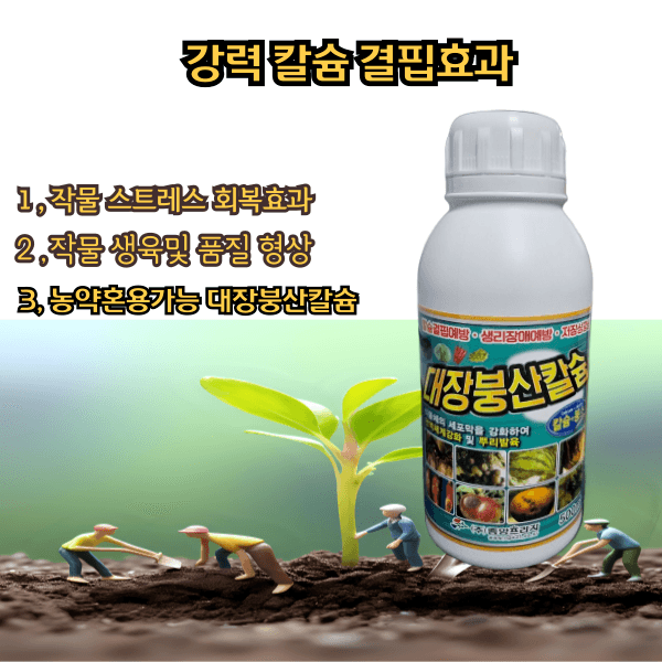 대산농사대장님의 장터 판매 상품 [빅세일  25년  슈퍼슐탄 복합내병계 1200립  한농씨앗] 첨부 사진