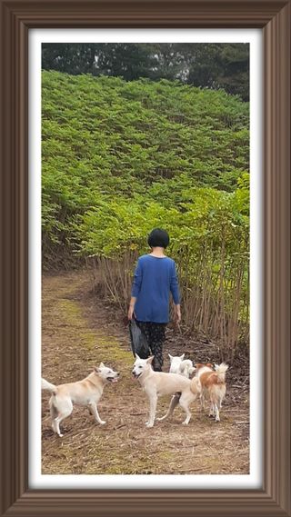 알 수 없음님의 자유주제 · 자유게시판 작성글 사진