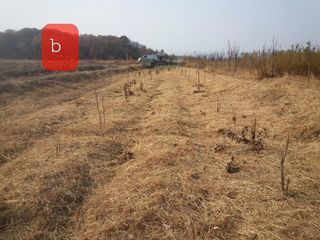 알 수 없음님의 자유주제 · 자유게시판 작성글 사진