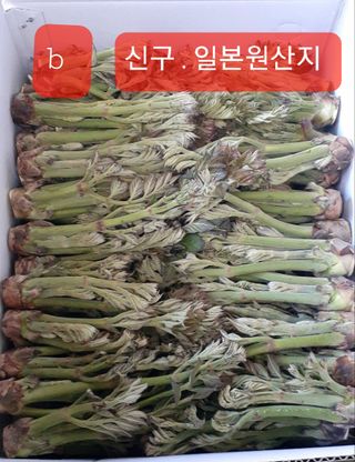 알 수 없음님의 자유주제 · 자유게시판 작성글 사진
