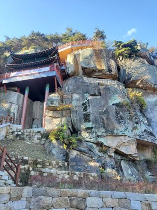 복주농장님의 자유주제 · 자유게시판 작성글 사진