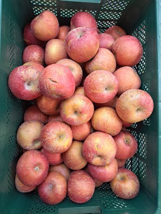 박수정님의 작성글 사진