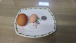 봉흥양반님의 자유주제 · 자유게시판 작성글 사진