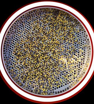 선비 농군님의 자유주제 · 자유게시판 작성글 사진