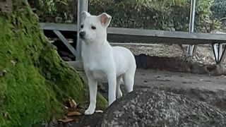 알 수 없음님의 자유주제 · 자유게시판 작성글 사진