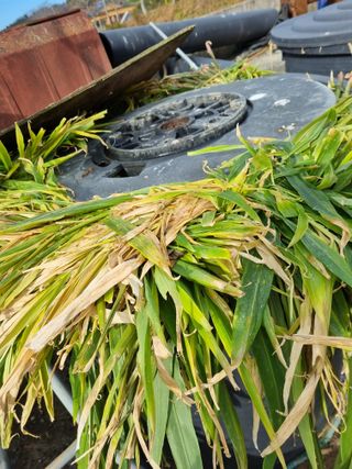 차재경님의 자유주제 · 사진전 작성글 사진