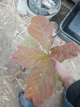 팜모닝 자유주제·자유게시판 게시글 이미지