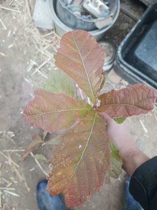 최제영님의 자유주제 · 자유게시판 작성글 사진