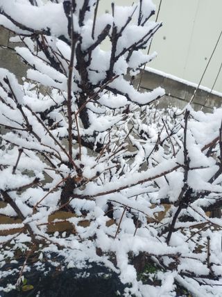 서정훈 님의 자유주제 · 자유게시판 작성글 사진