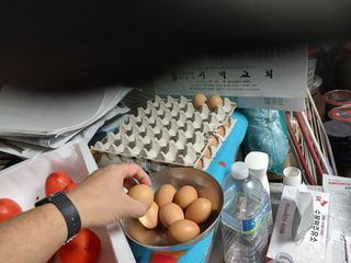 알 수 없음님의 자유주제 · 자유게시판 작성글 사진