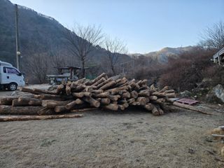 강원사랑인님의 자유주제 · 자유게시판 작성글 사진