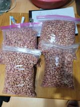 팜모닝 기타작물·자유게시판 게시글 이미지