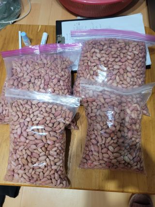 땅땅님의 기타작물 · 자유게시판 작성글 사진