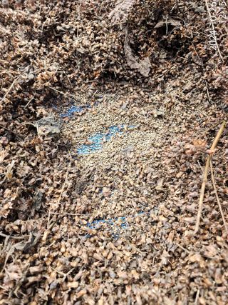 정병무님의 자유주제 · 자유게시판 작성글 사진