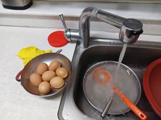 알 수 없음님의 자유주제 · 자유게시판 작성글 사진