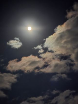 김유숙님의 자유주제 · 자유게시판 작성글 사진