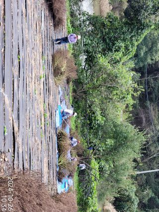 정병무님의 자유주제 · 자유게시판 작성글 사진