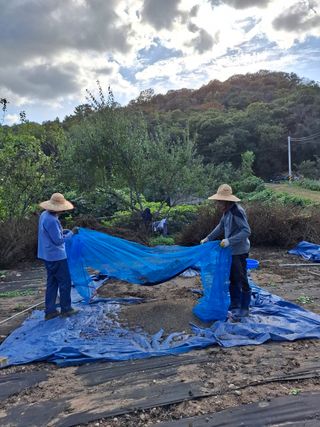 정병무님의 자유주제 · 자유게시판 작성글 사진