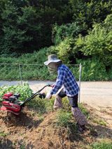 팜모닝 농작업 할 때 나의 선택은?·참여글 게시글 이미지