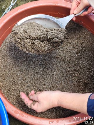 정병무님의 자유주제 · 자유게시판 작성글 사진