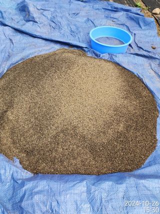 정병무님의 자유주제 · 자유게시판 작성글 사진