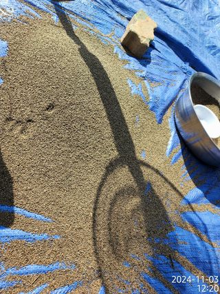 정병무님의 자유주제 · 자유게시판 작성글 사진