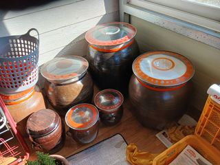 알 수 없음님의 자유주제 · 자유게시판 작성글 사진