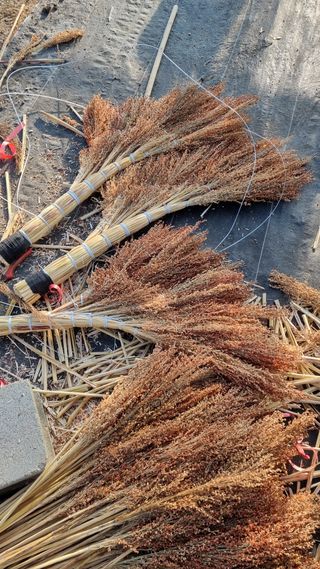 오학봉(멀티팜)님의 자유주제 · 자유게시판 작성글 사진