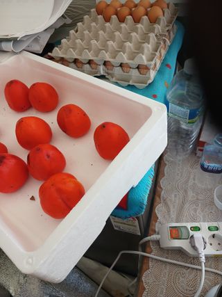 알 수 없음님의 자유주제 · 자유게시판 작성글 사진