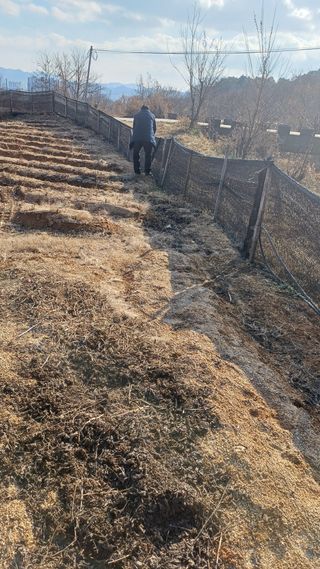 박순덕님의 자유주제 · 자유게시판 작성글 사진