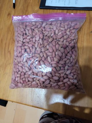 땅땅님의 기타작물 · 자유게시판 작성글 사진