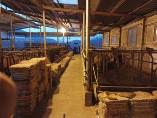 알 수 없음님의 자유주제 · 자유게시판 작성글 사진