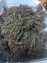 팜모닝 자유주제·사진전 게시글 이미지