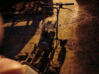 알 수 없음님의 자유주제 · 자유게시판 작성글 사진